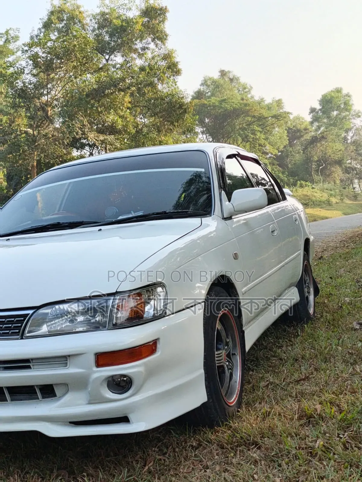 Toyota Corolla 1993 Pearl