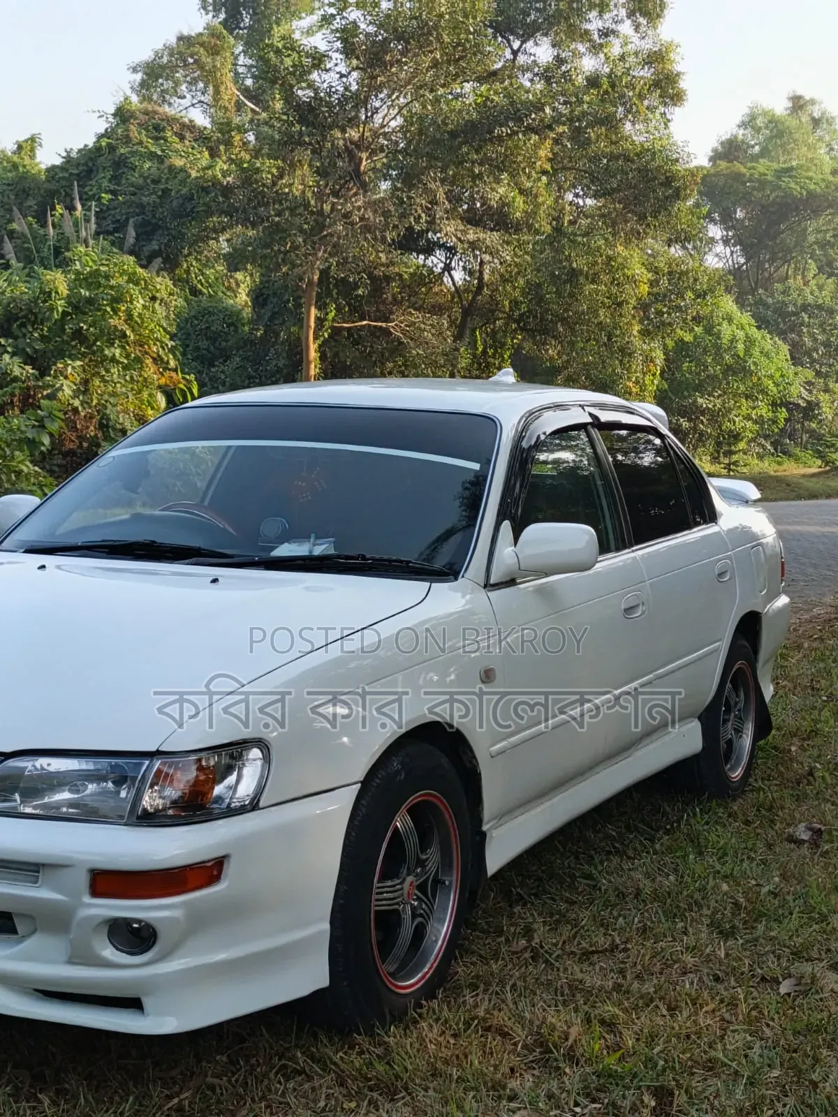 Toyota Corolla 1993 Pearl