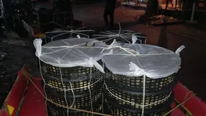 উচ্চমানের একদিনের হাঁসের বাচ্চা বিক্রয়