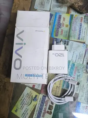 Vivo charger