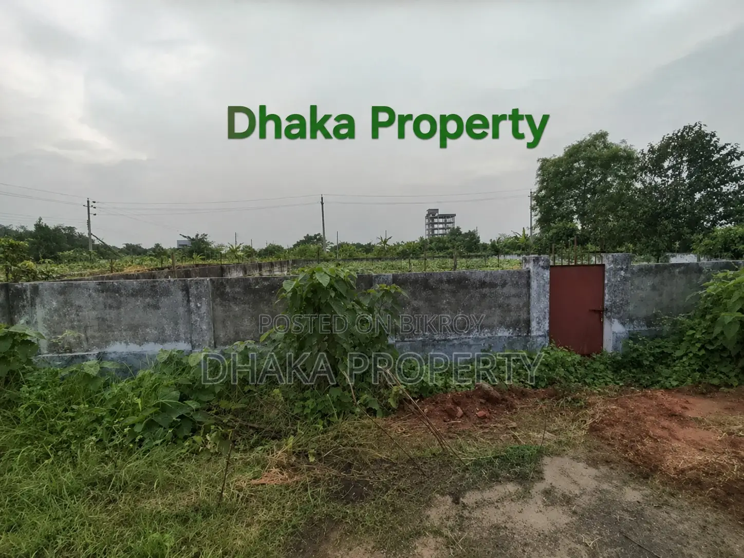 Corner Park View 3 Katha North Sector-24