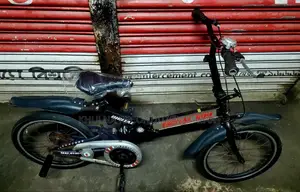 Malaysian Folding Bicycle