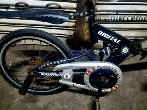 Malaysian Folding Bicycle