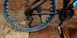 ১/১ নন গিয়ার সাইকেল