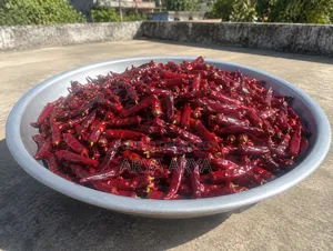 Pure Desi Dried Chili Powder
