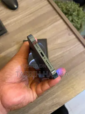 নতুন Apple iPhone 12 Pro Max 256 GB ব্লু