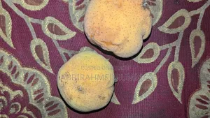 ফ্রুট জাতীয় আইটেম
