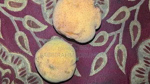 ফ্রুট জাতীয় আইটেম