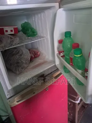 Singer Fridge