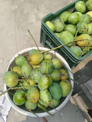 Satkhira's Famous Himsagar Mango