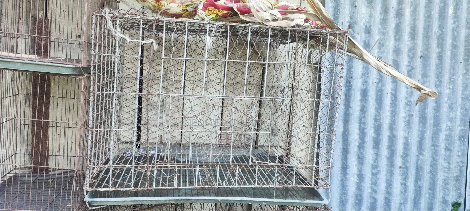 খাঁচা বিক্রি হবে