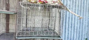 খাঁচা বিক্রি হবে