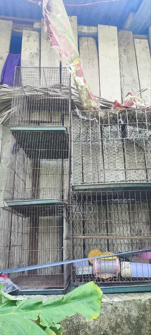 খাঁচা বিক্রি হবে