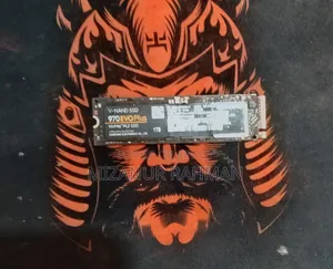 1TB NVMe SSD