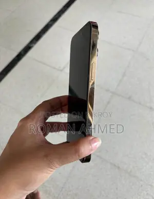 Apple iPhone 14 Pro Max 256 GB Gold
