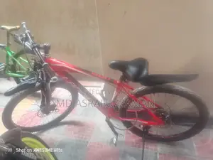 Bicycle for Sell (Landao 1100)