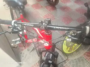 Bicycle for Sell (Landao 1100)