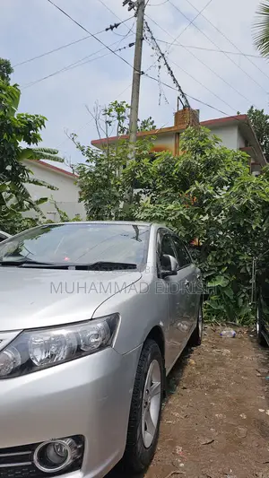 Toyota Allion 2009 Silver