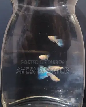 Blue Topaz Guppy