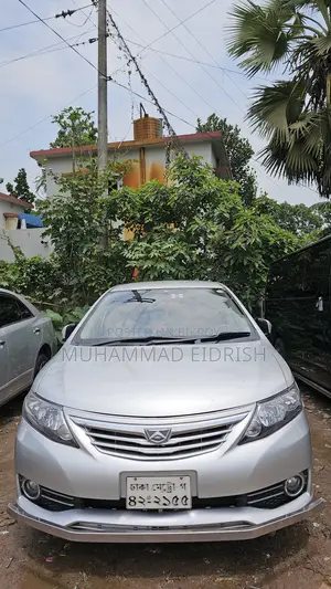 Toyota Allion 2009 Silver