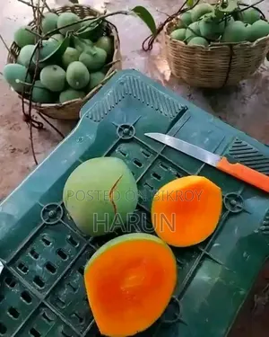 রসালো ও সুস্বাদু আম