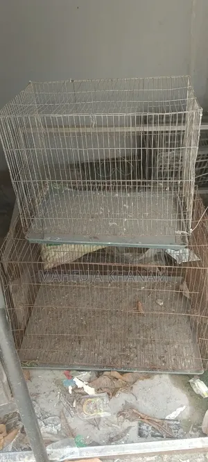 Bird Cage