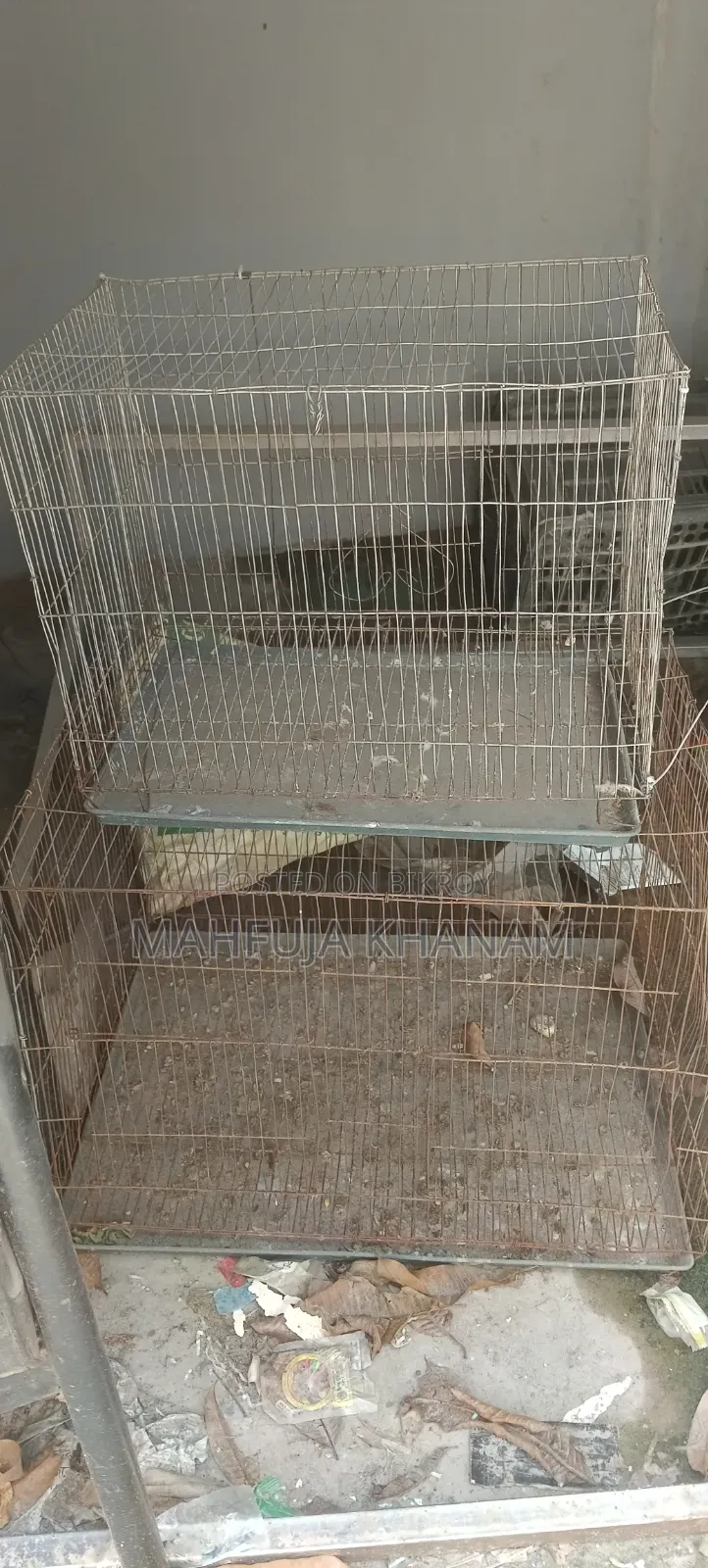 Bird Cage