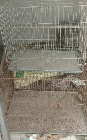 Bird Cage