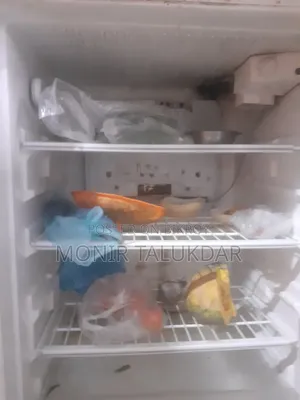 Fridge suddenly stops cooling, same problem persists after one repair
