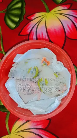 Some birds for sale