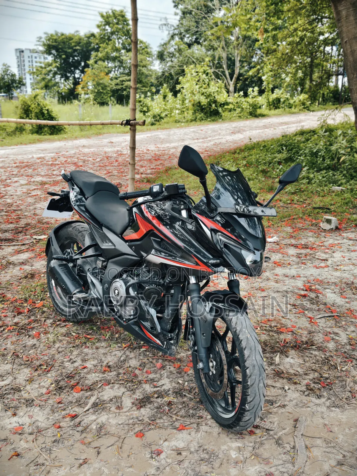 নতুন Bajaj Pulsar F250 2025 ব্ল্যাক
