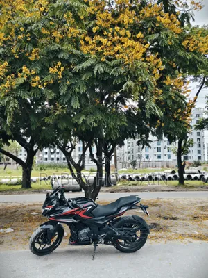 নতুন Bajaj Pulsar F250 2025 ব্ল্যাক