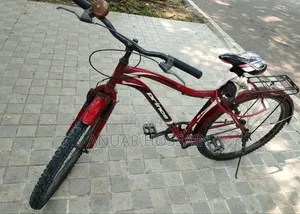 Phoenix Cycle