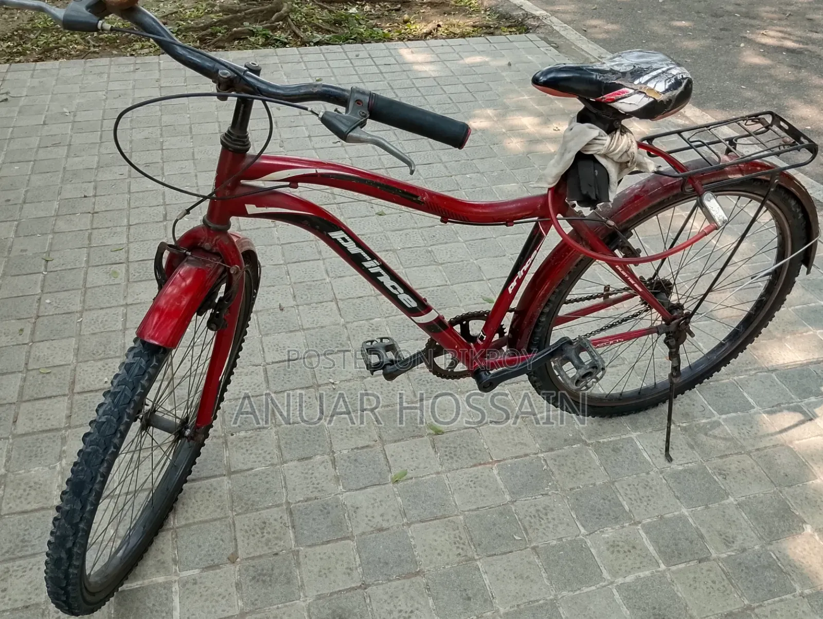Phoenix Cycle
