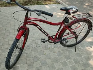 Phoenix Cycle
