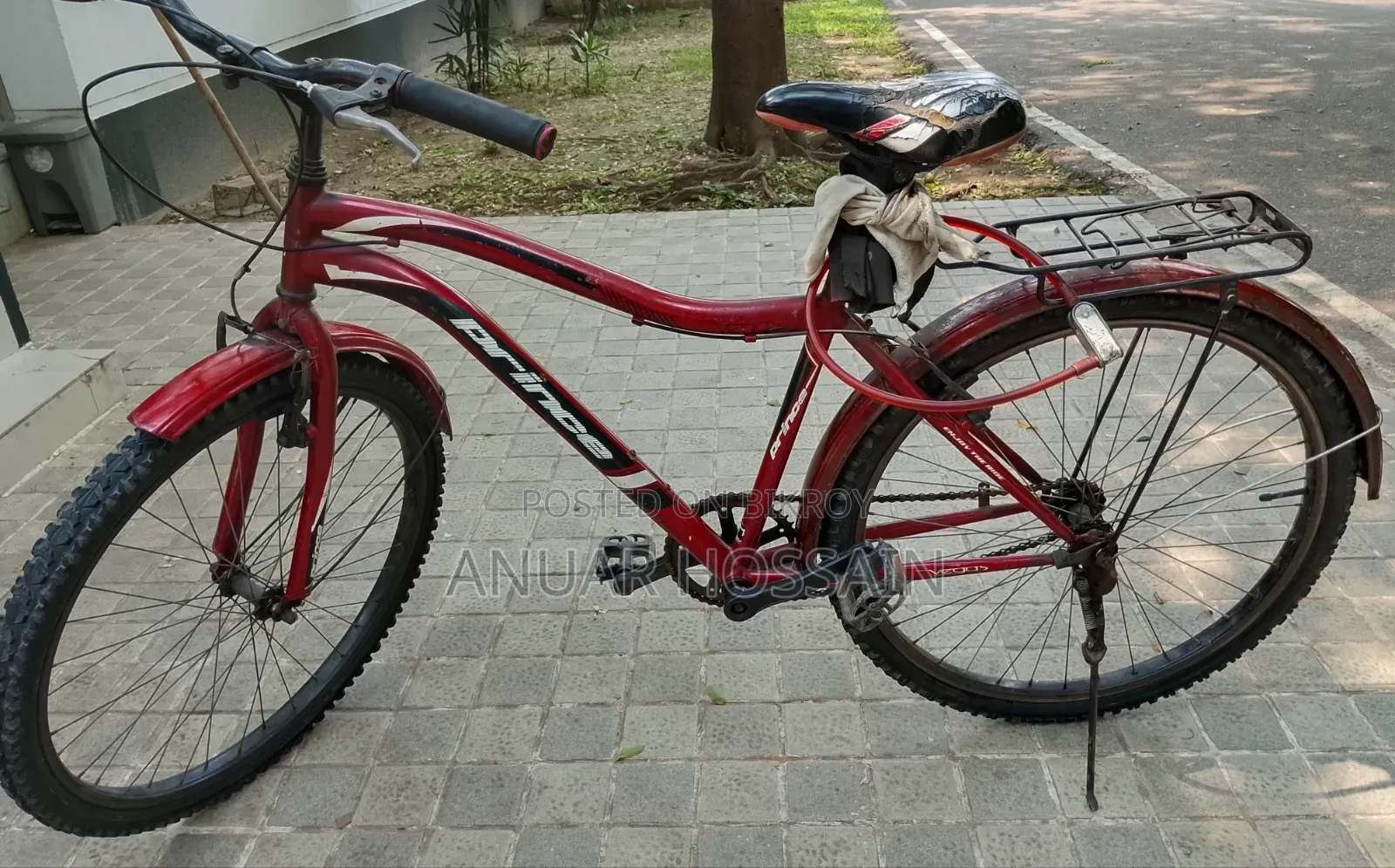 Phoenix Cycle