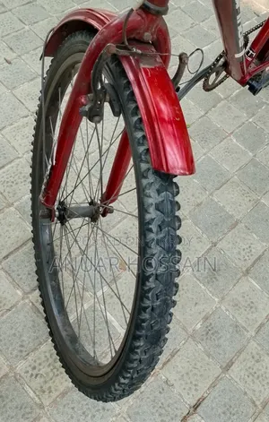 Phoenix Cycle