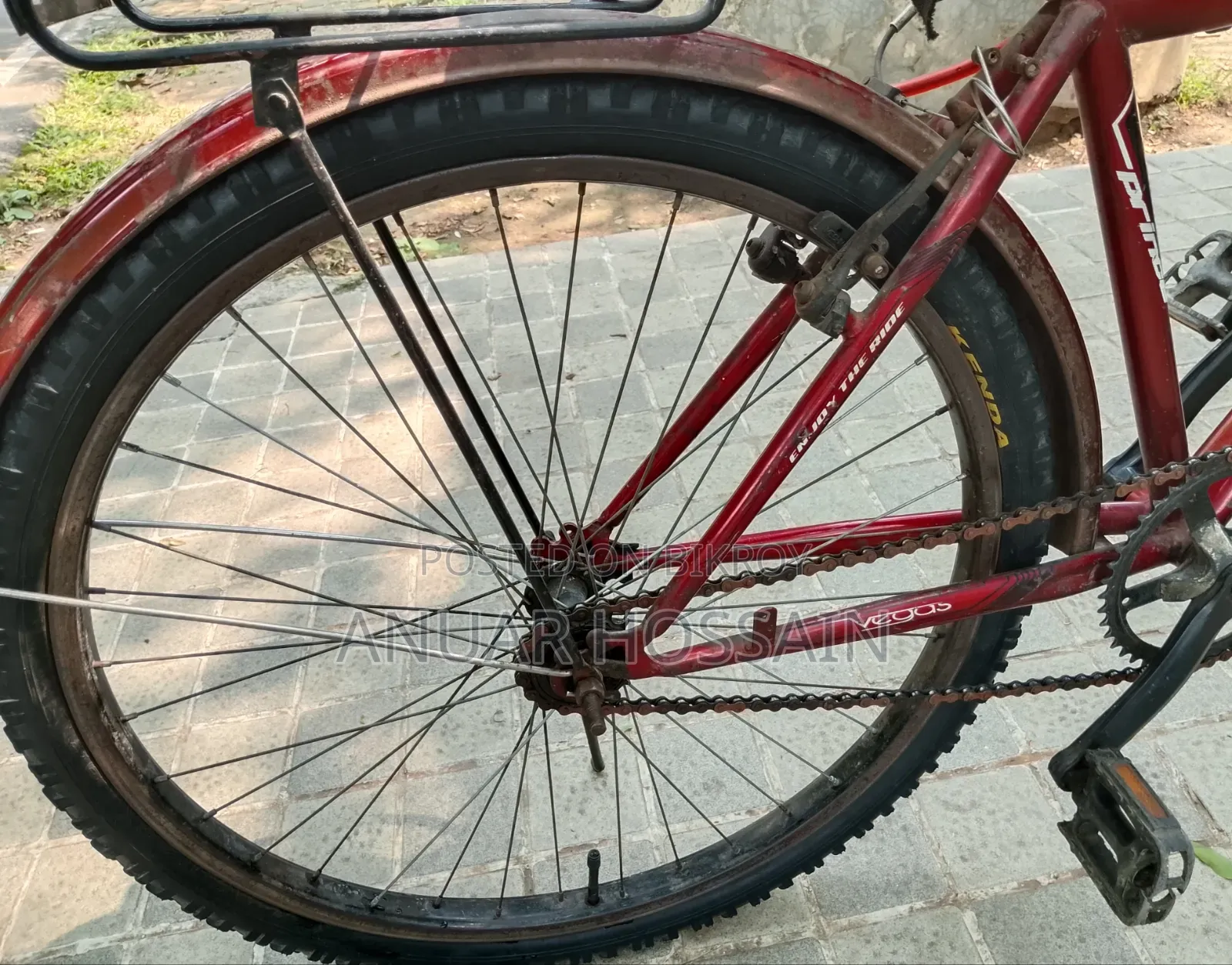 Phoenix Cycle