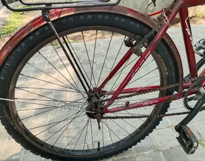 Phoenix Cycle