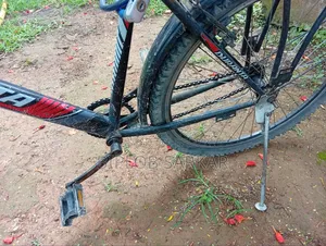 Duronto Bicycle for Sale