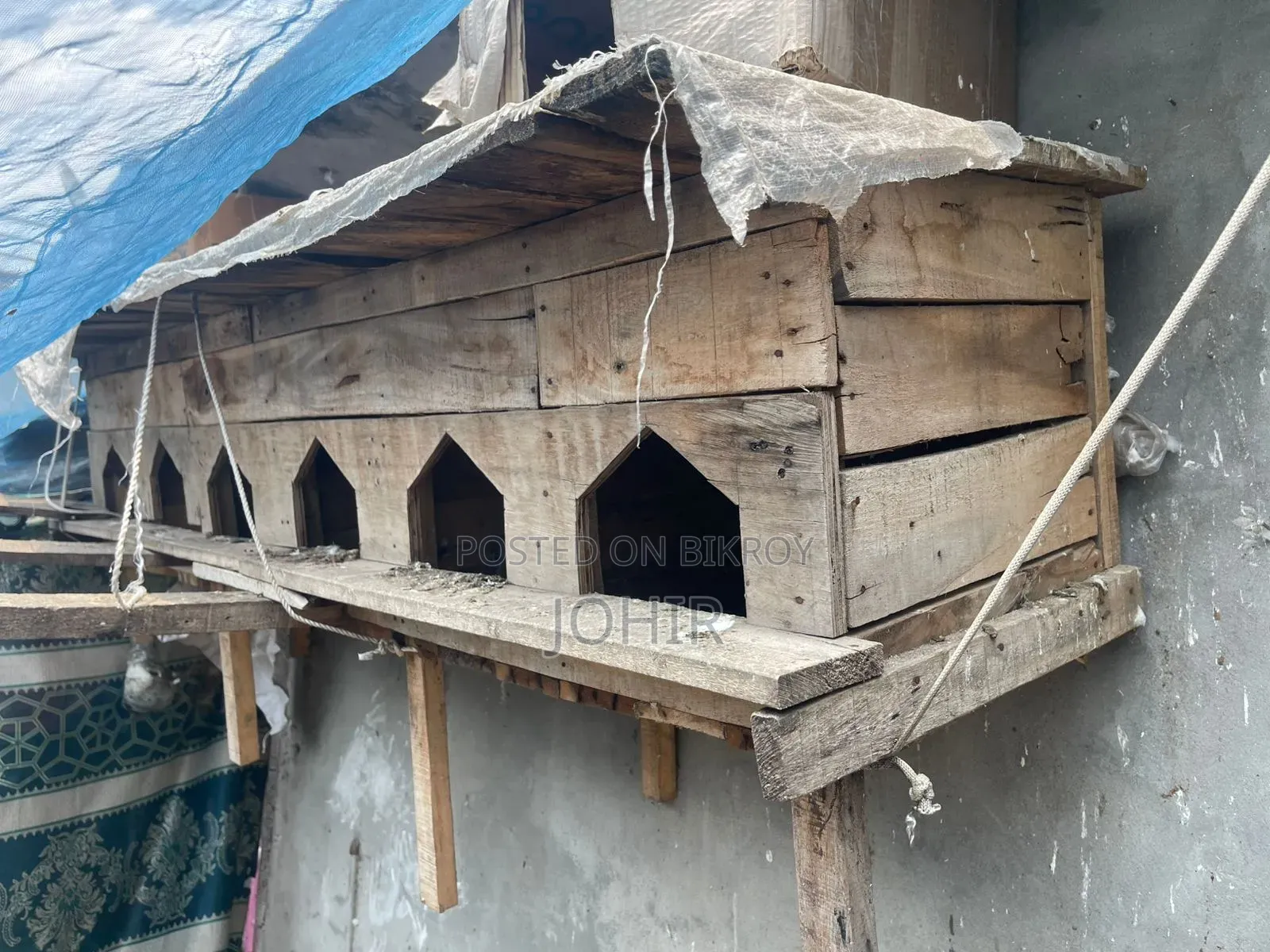 কবুতরের বাসা সেল হবে
