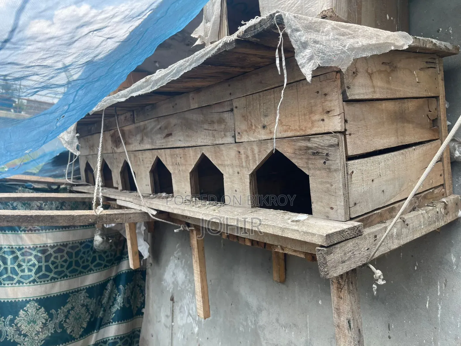 কবুতরের বাসা সেল হবে