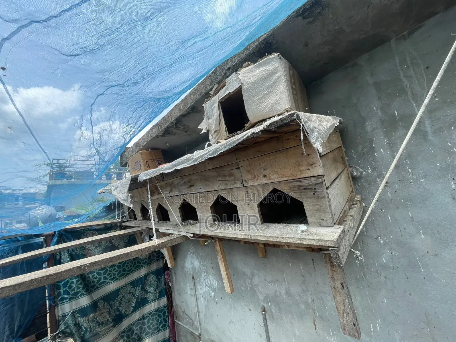 কবুতরের বাসা সেল হবে