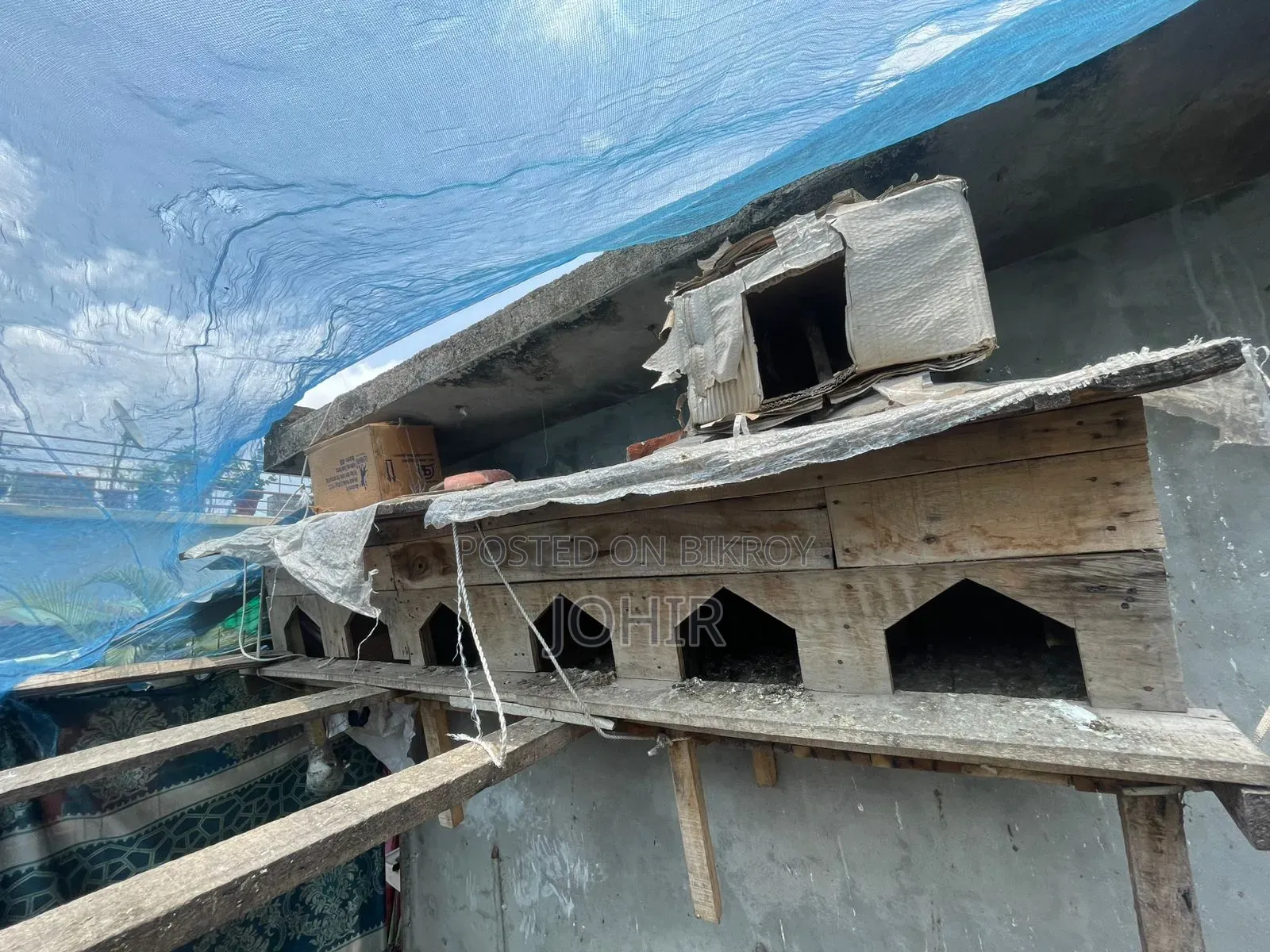কবুতরের বাসা সেল হবে