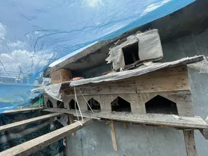 কবুতরের বাসা সেল হবে