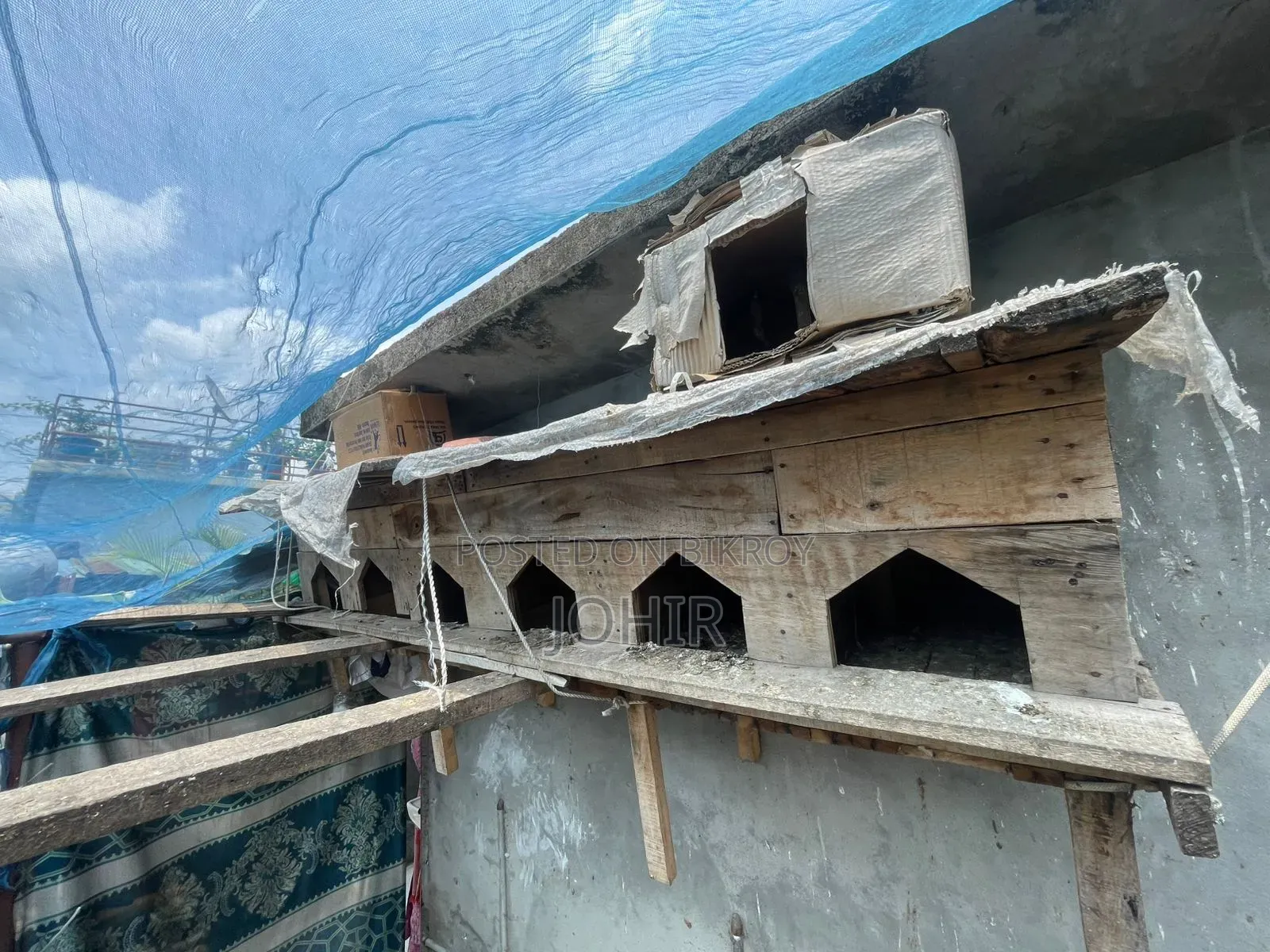 কবুতরের বাসা সেল হবে