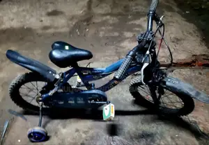 Pulser 16 Size Bsby Cycle
