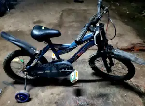 Pulser 16 Size Bsby Cycle