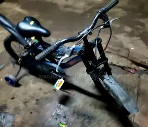 Pulser 16 Size Bsby Cycle