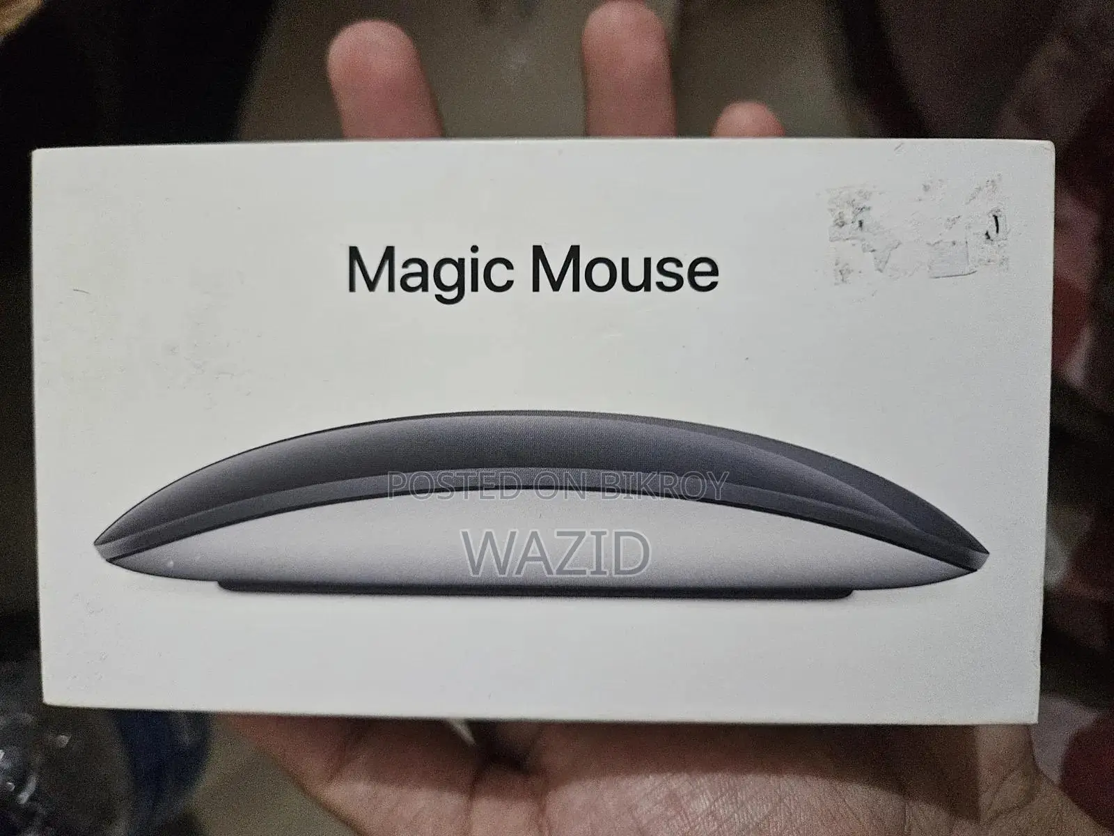 Magic Mouse 4 [Apple] Usb C